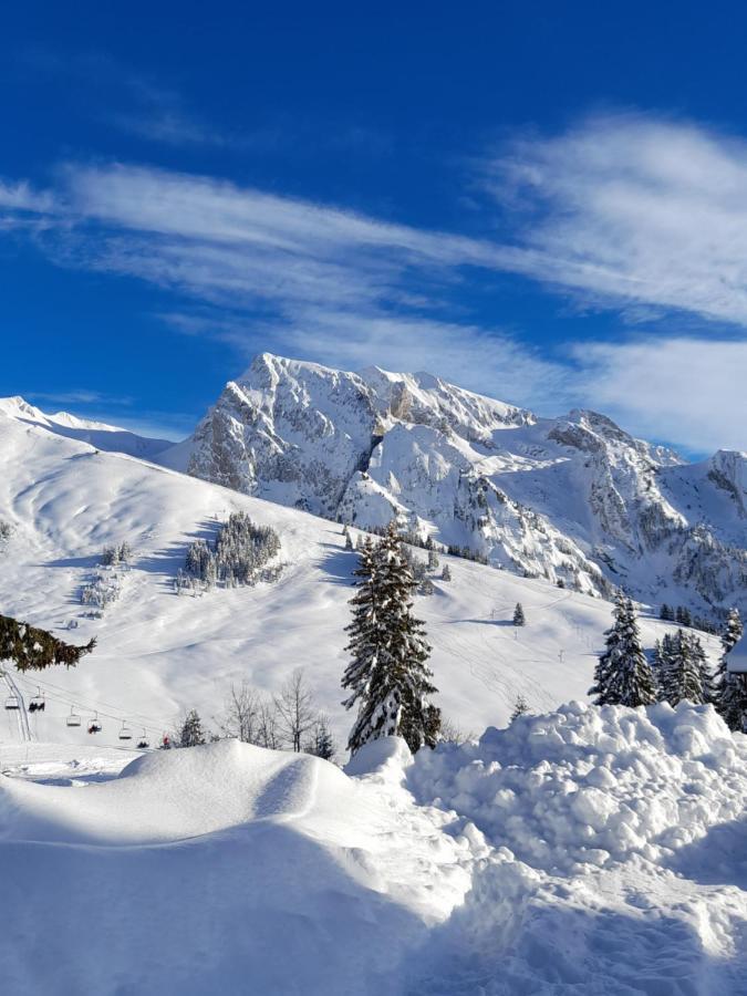 Appartement Au Coeur Des Aravis Маниго Экстерьер фото